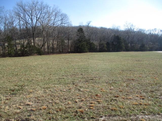 638 Wallace Rd, Gallatin TN, 37066 land for sale