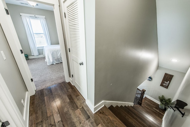 stairs featuring hardwood / wood-style flooring