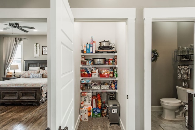 view of pantry