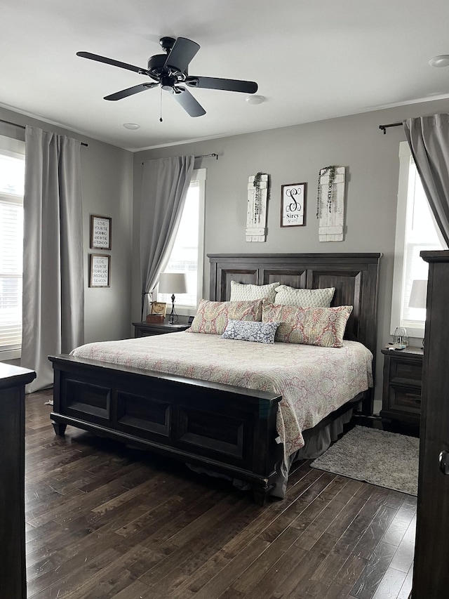 bedroom featuring ceiling fan and dark hardwood / wood-style floors