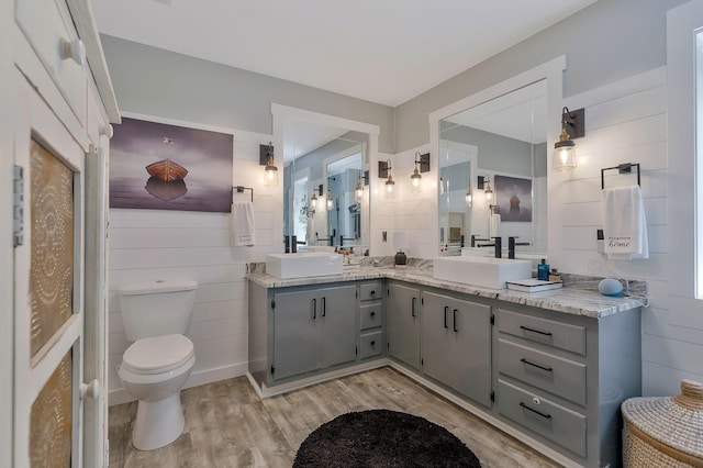 bathroom with vanity, hardwood / wood-style flooring, and toilet