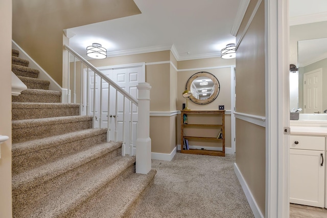 stairway featuring carpet flooring and crown molding