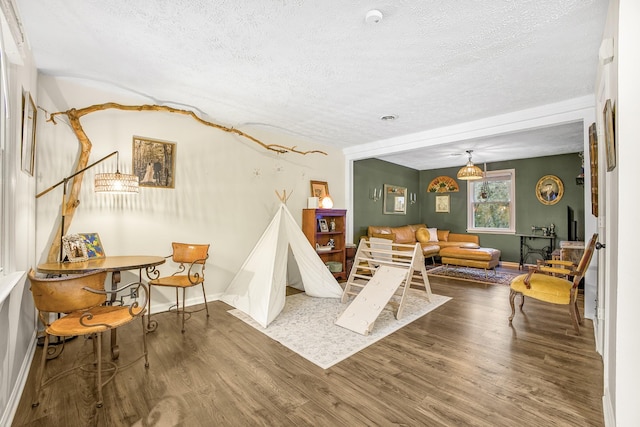 living room featuring hardwood / wood-style flooring and a textured ceiling