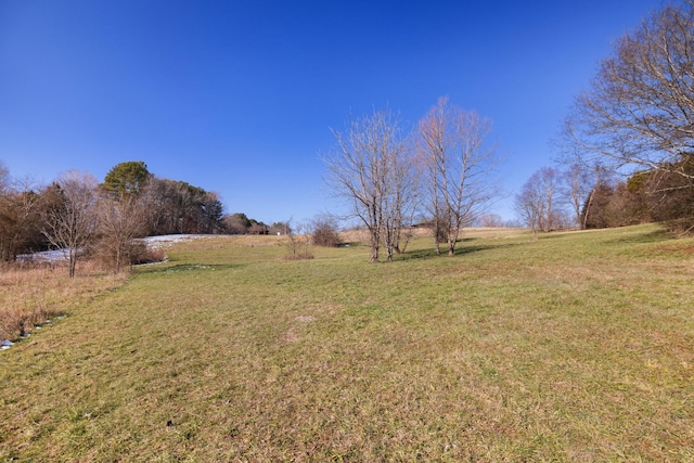 view of yard featuring a rural view