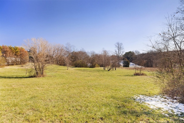 view of yard featuring a rural view