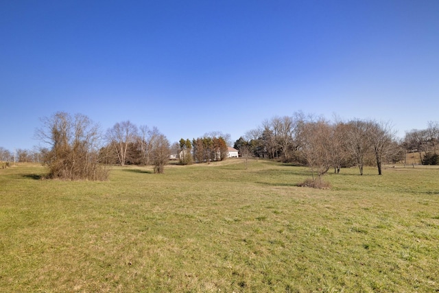 view of yard featuring a rural view