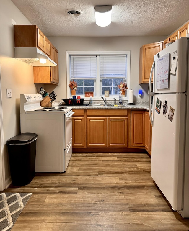 kitchen featuring stove, light hardwood / wood-style floors, a textured ceiling, sink, and white fridge