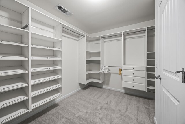 walk in closet with light colored carpet