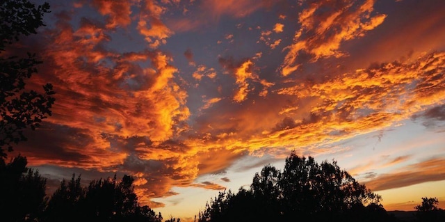 view of nature at dusk