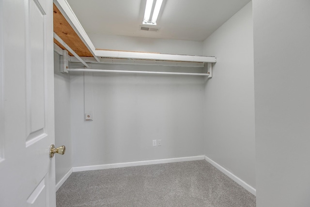 walk in closet with carpet flooring