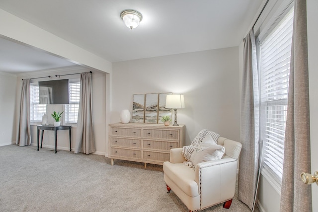 living area with light carpet