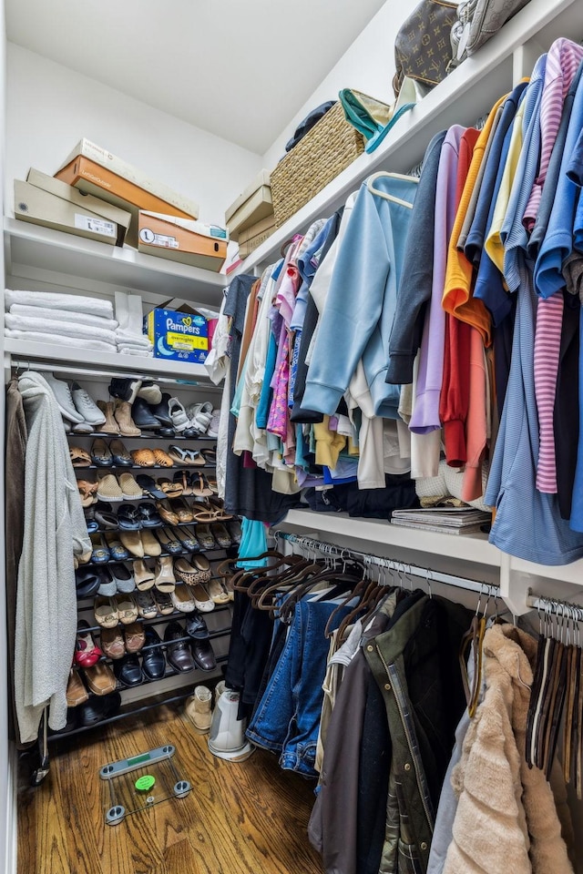 spacious closet with hardwood / wood-style flooring