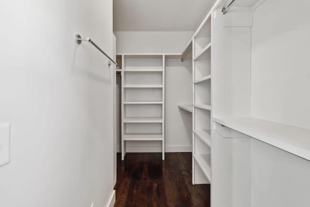 walk in closet featuring dark hardwood / wood-style flooring