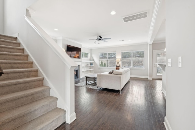 living room with ceiling fan, crown molding, and dark hardwood / wood-style floors