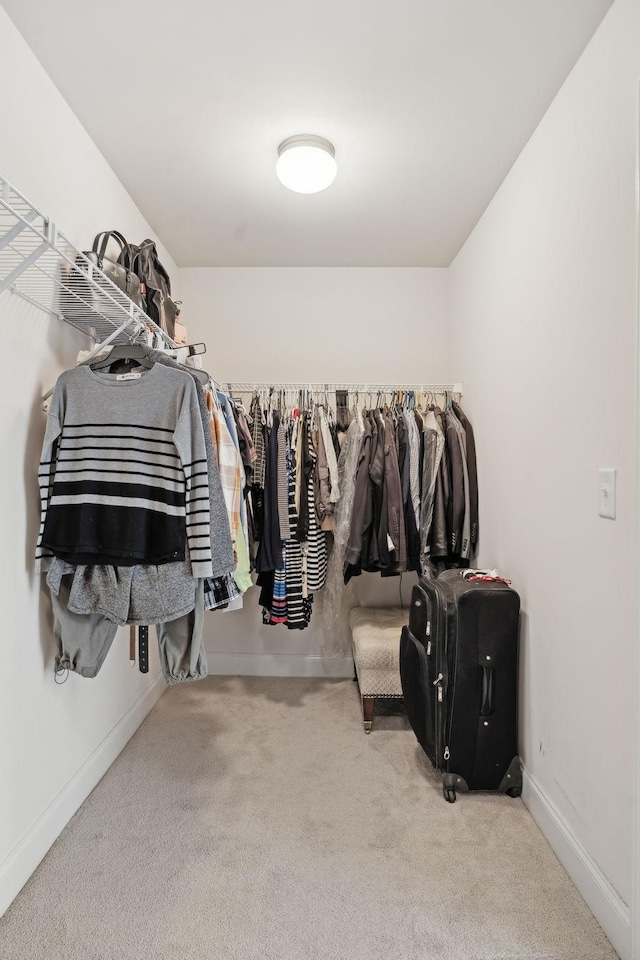 walk in closet with light carpet