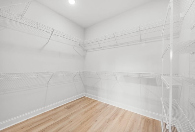983 Palmyra Rd, Clarksville, TN 37040 - spacious closet with light wood finished floors