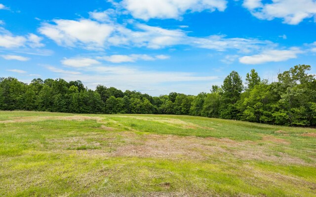983 Palmyra Rd, Clarksville, TN 37040 - view of wooded area with a rural view