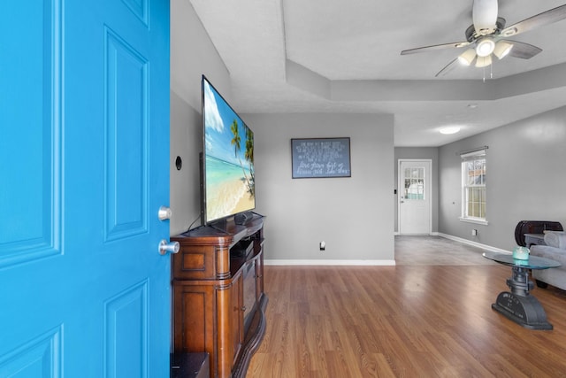 foyer entrance featuring a tray ceiling, ceiling fan, and hardwood / wood-style floors