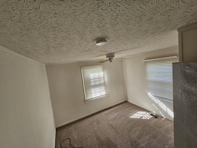 spare room featuring ceiling fan, carpet, and a textured ceiling