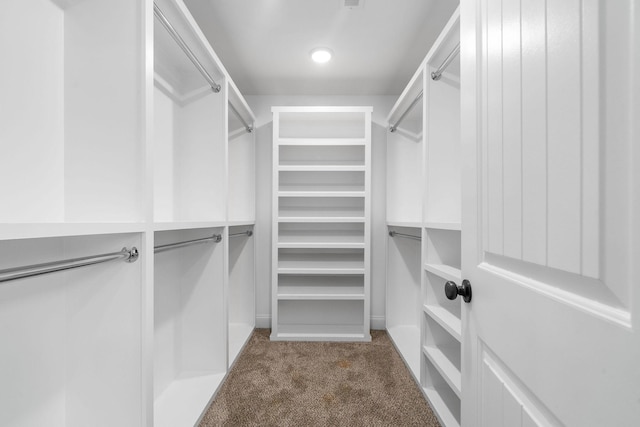 walk in closet featuring carpet floors