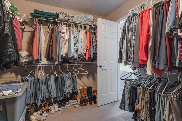 walk in closet with carpet flooring