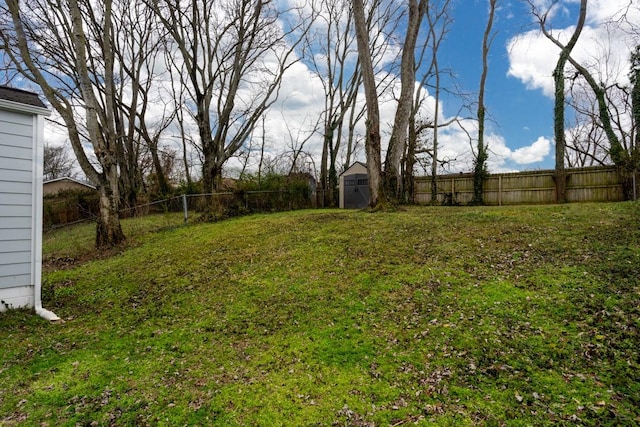 view of yard with a storage unit