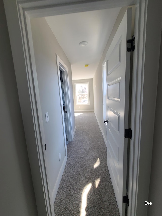 hallway with baseboards and carpet floors