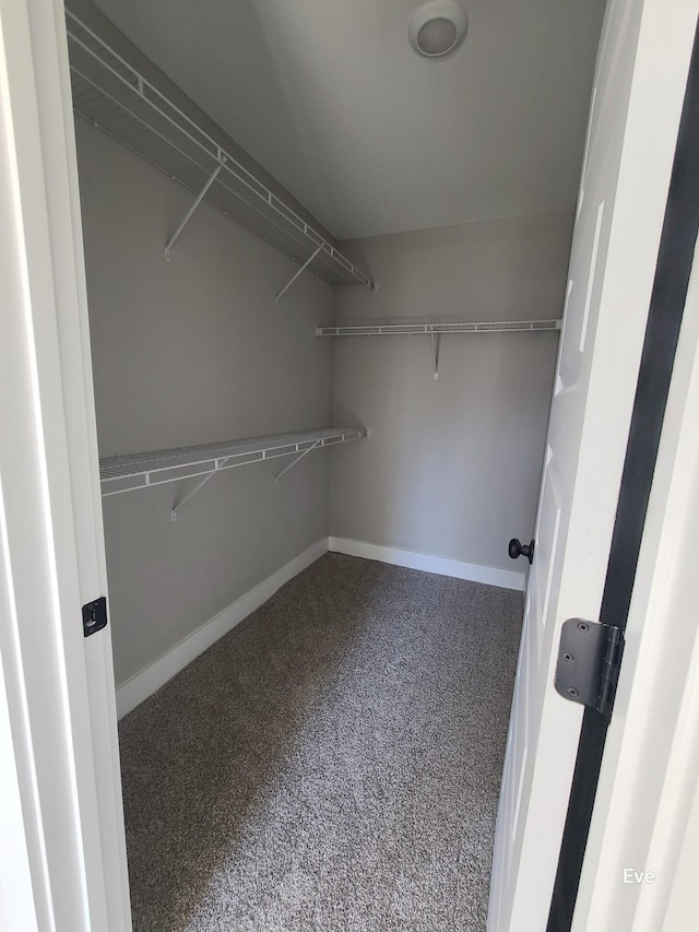 view of walk in closet