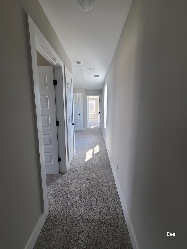 hall with baseboards, light carpet, and attic access