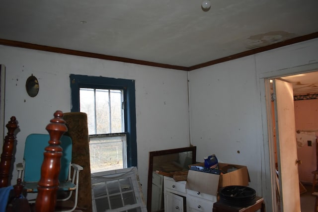 bedroom featuring ornamental molding