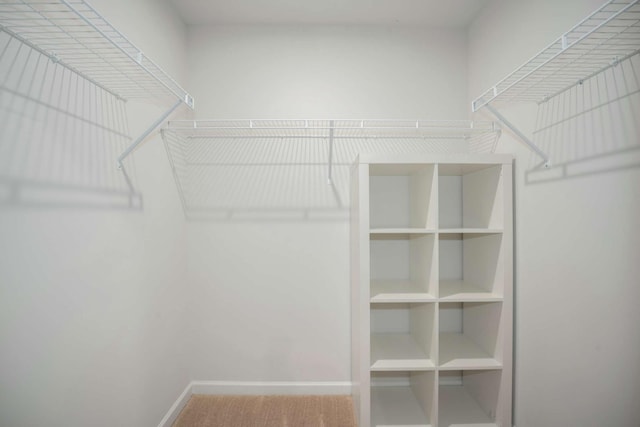 spacious closet with carpet