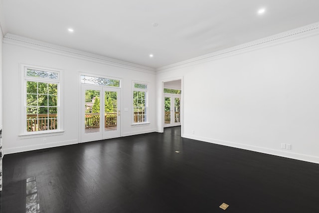 spare room featuring french doors, plenty of natural light, and ornamental molding