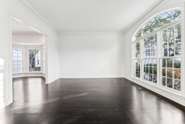 spare room with ornamental molding, dark wood-type flooring, and a healthy amount of sunlight