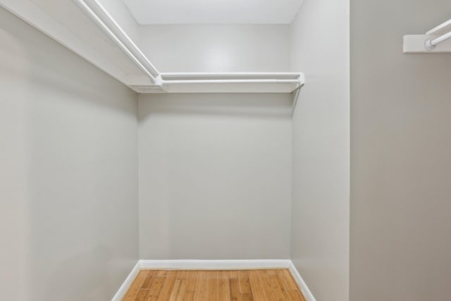 spacious closet with hardwood / wood-style flooring