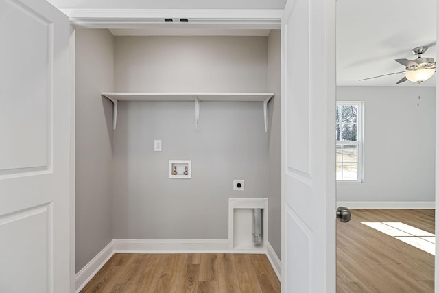 washroom featuring hookup for an electric dryer, washer hookup, light wood-type flooring, and ceiling fan