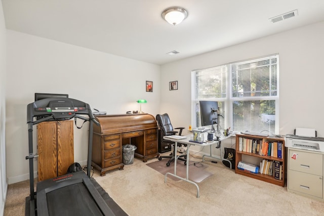 office space featuring light colored carpet