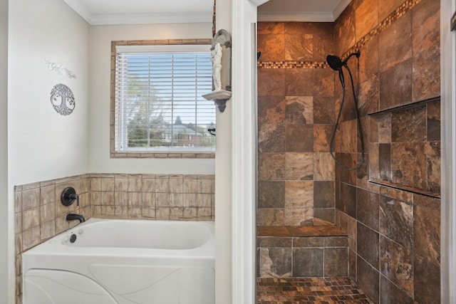 bathroom with a bathtub and crown molding