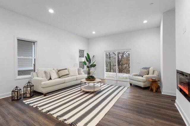 living room featuring dark wood-type flooring