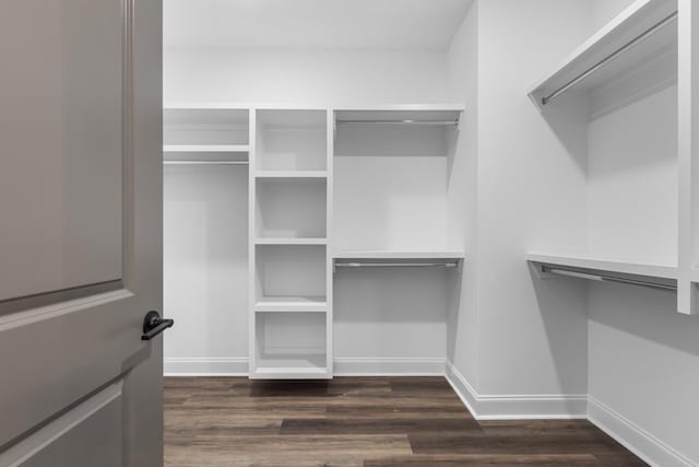 spacious closet with dark hardwood / wood-style floors