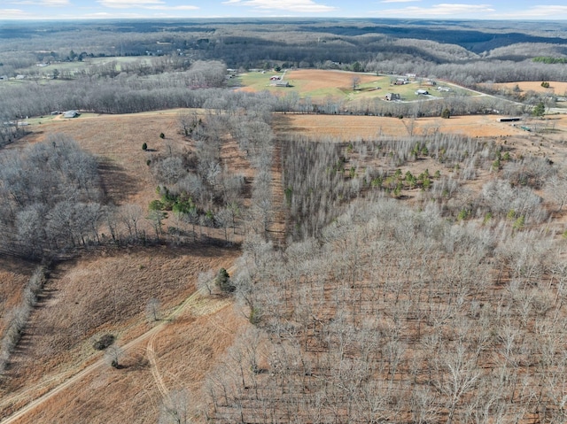 bird's eye view with a rural view