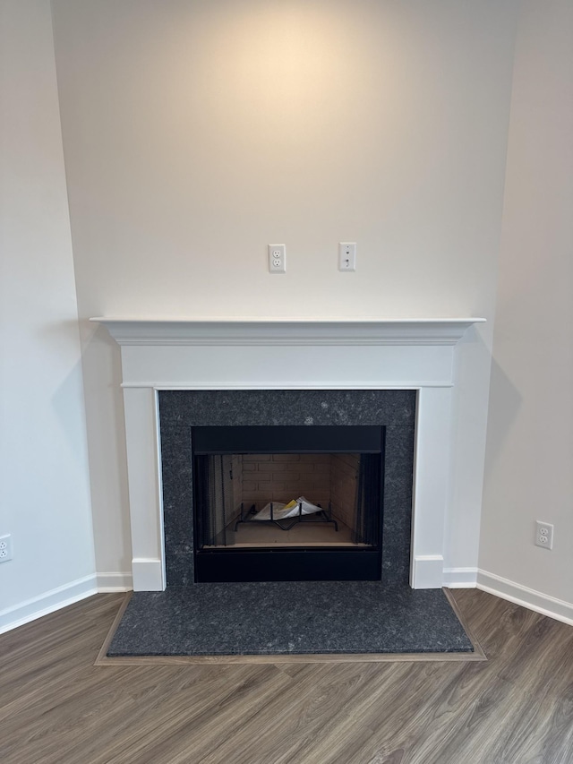 details featuring wood-type flooring and a fireplace