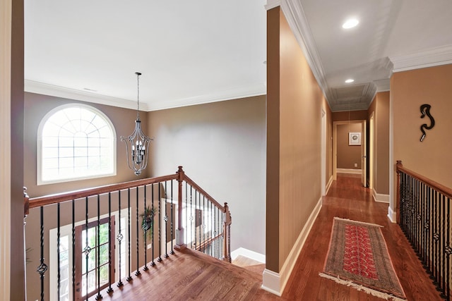 hall with crown molding, a chandelier, and dark hardwood / wood-style floors