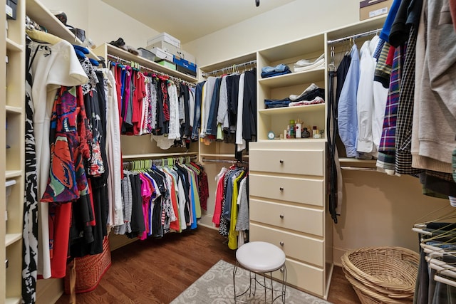 spacious closet featuring dark hardwood / wood-style flooring