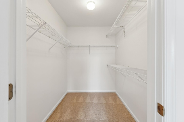 spacious closet with carpet