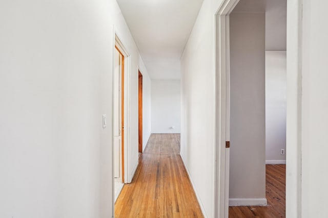 hallway featuring hardwood / wood-style floors