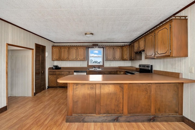 kitchen featuring kitchen peninsula, crown molding, sink, and stainless steel appliances