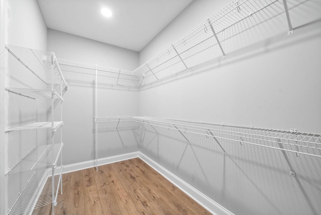 spacious closet featuring hardwood / wood-style floors