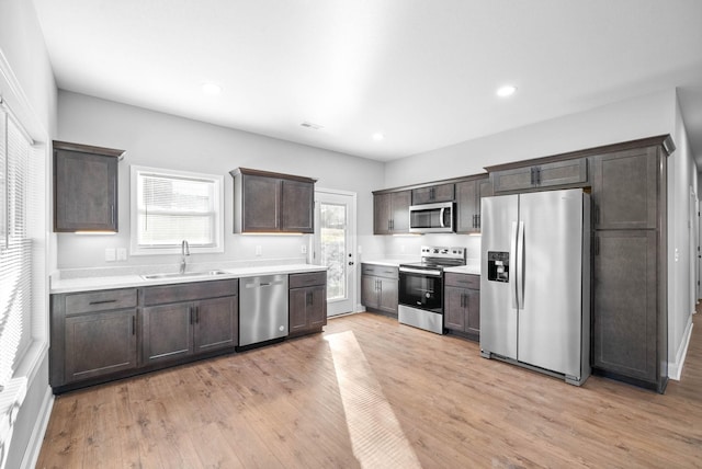 kitchen featuring dark brown cabinetry, sink, light hardwood / wood-style floors, and appliances with stainless steel finishes