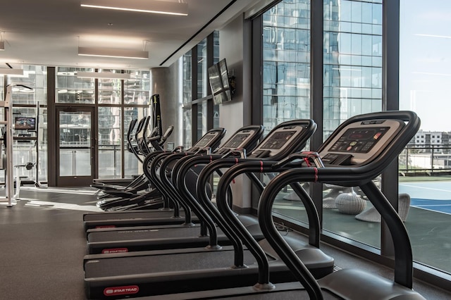 exercise room with floor to ceiling windows and a healthy amount of sunlight