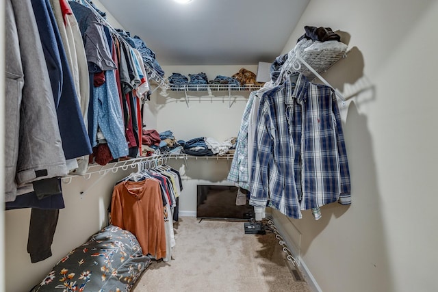 walk in closet with light colored carpet